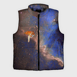 Мужской жилет Cosmic animal