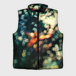Мужской жилет Obscured by Clouds - Pink Floyd