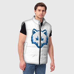 Мужской жилет Полярный лис, цвет: 3D-светло-серый — фото 2
