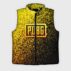 Мужской жилет PUBG - ПАБГ ОСКОЛКИ, цвет: 3D-черный