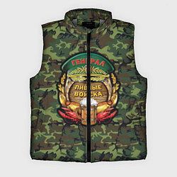 Мужской жилет Генерал Пивные Войска, цвет: 3D-светло-серый