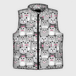 Мужской жилет Котикипаттерн, цвет: 3D-светло-серый