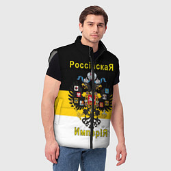 Мужской жилет РоссийскаЯ ИмпериЯ Флаг и Герб, цвет: 3D-светло-серый — фото 2