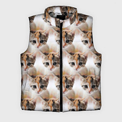 Мужской жилет Маленький котенок паттерн, цвет: 3D-светло-серый