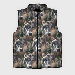 Мужской жилет Волки клипарт wolfs