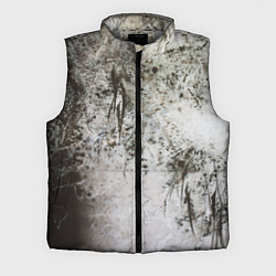 Мужской жилет В густом тумане