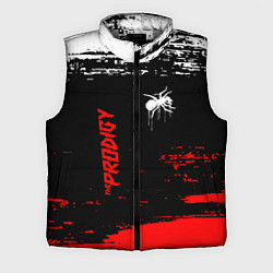 Мужской жилет The prodigy : дарование
