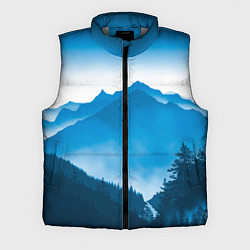 Мужской жилет Горы Лес, цвет: 3D-светло-серый