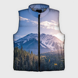Мужской жилет Горы Лес Солнце, цвет: 3D-светло-серый