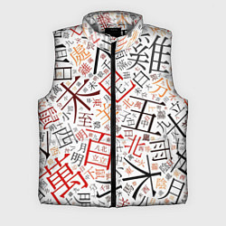 Мужской жилет Иероглифы, цвет: 3D-светло-серый