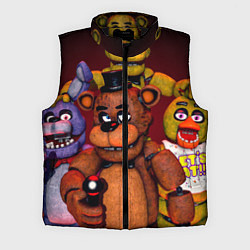 Мужской жилет Пять ночей Фредди, цвет: 3D-черный