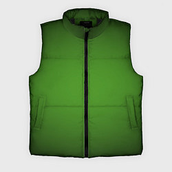 Мужской жилет Зеленый с затемняющей виньеткой, цвет: 3D-черный