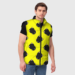 Мужской жилет Кротовуха, цвет: 3D-черный — фото 2