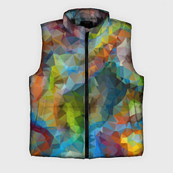 Мужской жилет Color pattern
