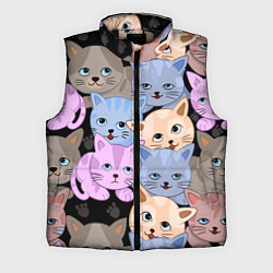 Мужской жилет Cats party