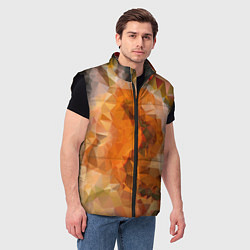 Мужской жилет Orange mood, цвет: 3D-черный — фото 2