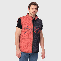 Мужской жилет Strey Kids x Anime, цвет: 3D-черный — фото 2