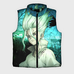 Мужской жилет Доктор Стоун Сэнку Исигами, цвет: 3D-черный