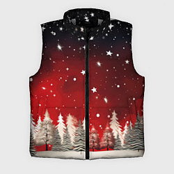 Мужской жилет Морозное утро в деревне, цвет: 3D-светло-серый