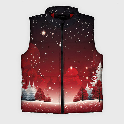 Мужской жилет Зимний берег реки с деревьями и льдом / 3D-Красный – фото 1