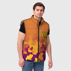 Мужской жилет Герб РФ текстура камуфляж, цвет: 3D-светло-серый — фото 2