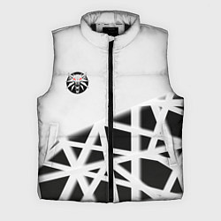 Мужской жилет The Witcher 3 logo geometry, цвет: 3D-черный