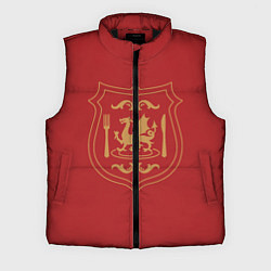 Мужской жилет Подземелье вкусностей - герб, цвет: 3D-черный