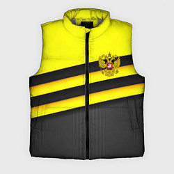 Мужской жилет Герб РФ геометрия линии, цвет: 3D-светло-серый