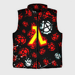 Мужской жилет Half life anarhy, цвет: 3D-черный