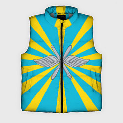 Мужской жилет Военно-воздушные силы, цвет: 3D-светло-серый