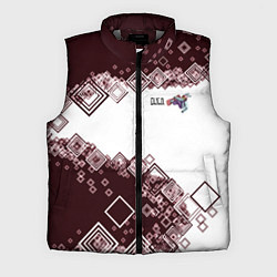 Мужской жилет Снуоборд