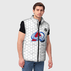Мужской жилет Колорадо Эвеланш - белые соты, цвет: 3D-черный — фото 2