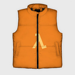 Мужской жилет Half-Life orange, цвет: 3D-черный