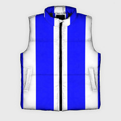 Мужской жилет Color white blue line, цвет: 3D-черный