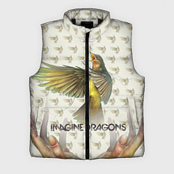 Мужской жилет Imagine Dragons: Fly