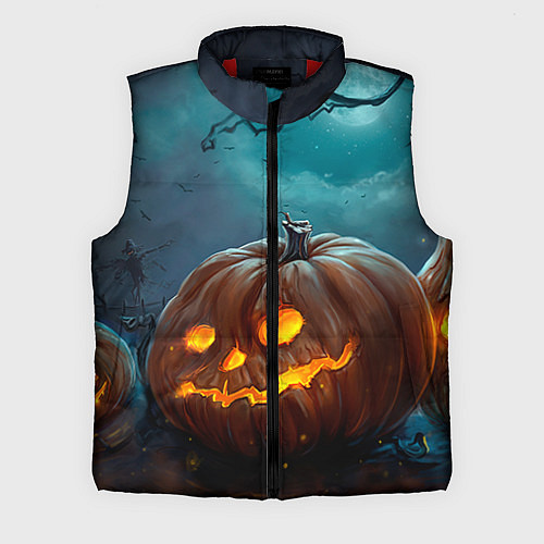 Мужской жилет Тыква / 3D-Красный – фото 1