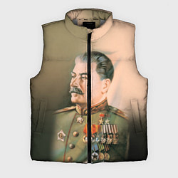 Мужской жилет Иосиф Сталин, цвет: 3D-светло-серый