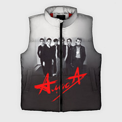 Мужской жилет АлисА: Трасса E95, цвет: 3D-красный