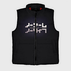 Мужской жилет No Game No Life лого, цвет: 3D-красный