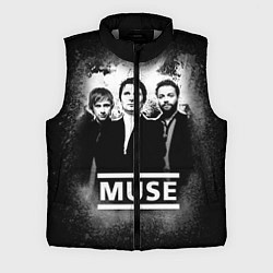 Мужской жилет Muse, цвет: 3D-светло-серый