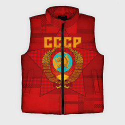 Мужской жилет СССР, цвет: 3D-красный