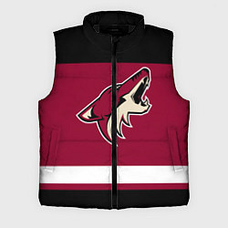 Мужской жилет Arizona Coyotes, цвет: 3D-черный