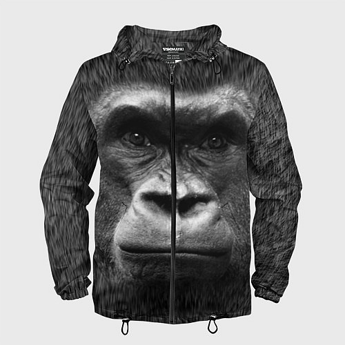 Мужская ветровка Взгляд / 3D-Черный – фото 1