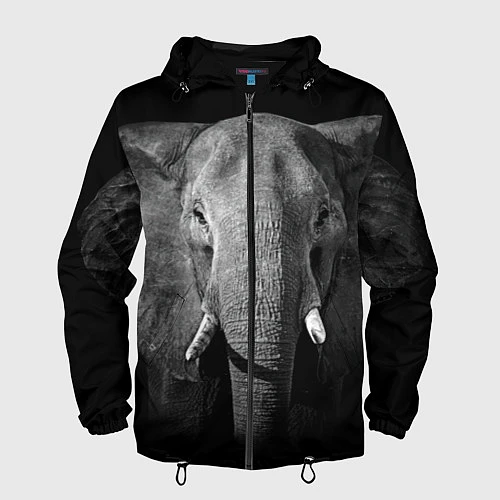 Мужская ветровка Взгляд слона / 3D-Черный – фото 1