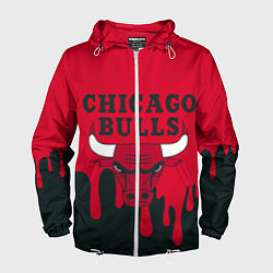 Мужская ветровка Chicago Bulls