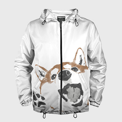 Мужская ветровка Shiba Inu / 3D-Черный – фото 1