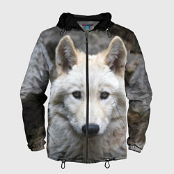 Ветровка с капюшоном мужская Волк, цвет: 3D-черный