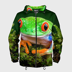 Ветровка с капюшоном мужская Тропическая лягушка, цвет: 3D-черный