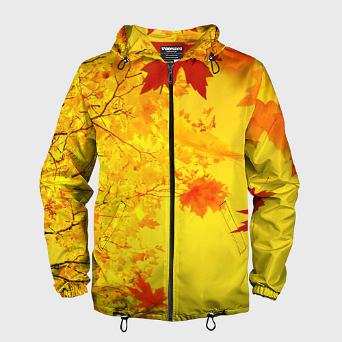 Мужская ветровка ОСЕННИЕ ЦВЕТА ЗОЛОТАЯ ОСЕНЬ / 3D-Черный – фото 1