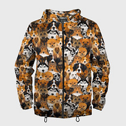 Мужская ветровка Разные Собаки
